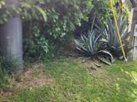 House 2539996624