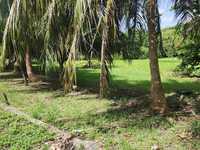 House 2539996634