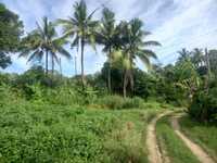 House 2550277839