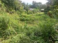 House 2550277842