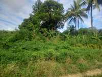 House 2550277843