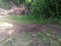 House 2566796644