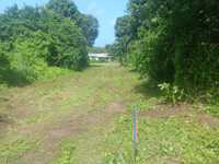House 2566796646