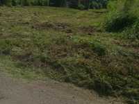 House 2566796655