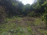 House 2566796665