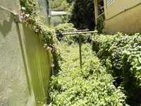 House 2562563713