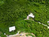 House 2569167484