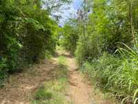 House 2582089359