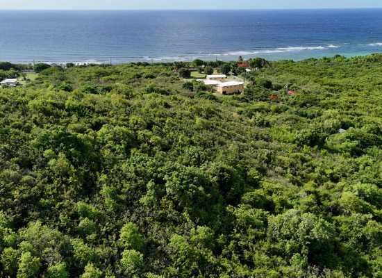 37 Rust-Op-Twist NB, 25-1232, Other, Lots and Land,  for sale - Dionne Nelthropp, Hibiscus Homes