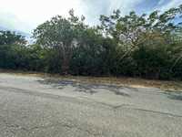 House 2984276856