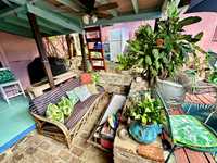House 2965921368
