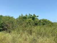 House 2625762080