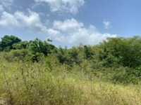 House 2625762088