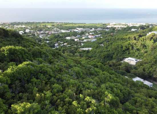 2-I & 3-D Bellevue CO, 24-1213, Other, Lots and Land,  for sale - Dionne Nelthropp, Hibiscus Homes