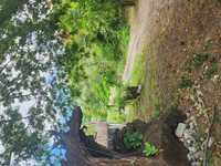 House 2629500280