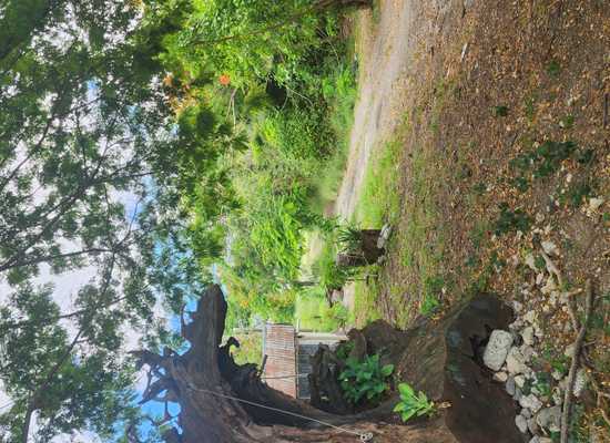 70 Sion Farm QU, 25-1387, Other, Lots and Land,  for sale - Dionne Nelthropp, Hibiscus Homes