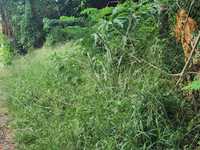 House 2629500283