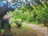 House 2629500301