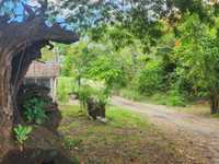 House 2629500303