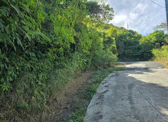167 Jolly Hill WE, 25-1401, Other, Lots and Land,  for sale - Dionne Nelthropp, Hibiscus Homes