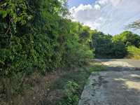 House 2631576212