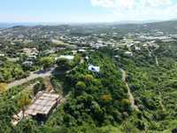 House 2636919654
