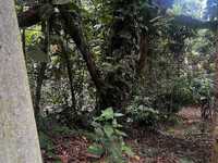 House 2643527671