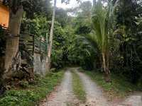 House 2643527678