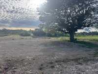 House 2650228680