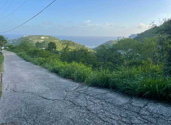 14-99 Frenchman Bay FB, 25-1504, Other, Lots and Land,  for sale - Dionne Nelthropp, Hibiscus Homes
