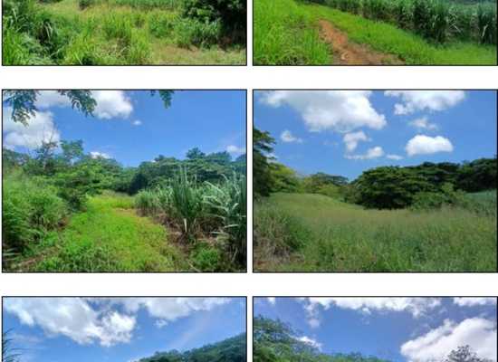 TAF01 Tagitagi, Tavua, Tavua, Farm,  for sale, PROPERTY EXPERTS 