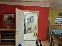 House 2955552008