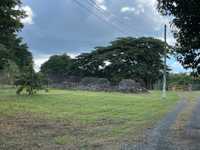 House 2955552568