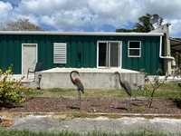 House 2955552678