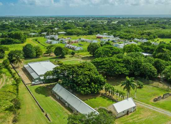 147-A Carlton WE, 25-745, Other, Commercial/Industrial,  for sale - Dionne Nelthropp, Hibiscus Homes