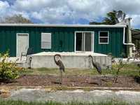 House 2955561202