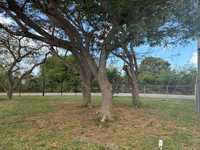 House 2955560981