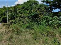 House 2664864647