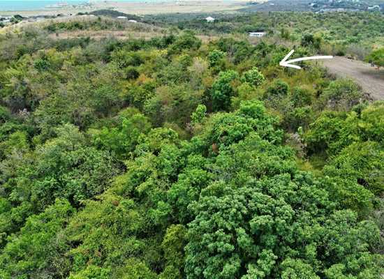 20 Marienhoj EA, 25-1533, Other, Lots and Land,  for sale - Dionne Nelthropp, Hibiscus Homes
