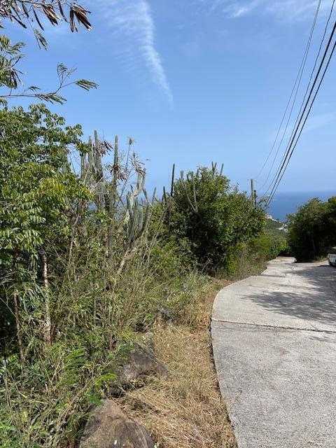 14-70 Frenchman Bay FB, 25-1531, Other, Lots and Land,  for sale - Dionne Nelthropp, Hibiscus Homes