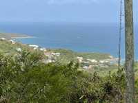 House 2668621621