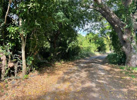 31-C La Grange WE, 25-1551, Other, Lots and Land,  for sale - Dionne Nelthropp, Hibiscus Homes