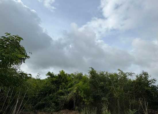 233 Little La Grange WE, 25-1564, Other, Lots and Land,  for sale - Dionne Nelthropp, Hibiscus Homes