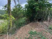 House 2673594879