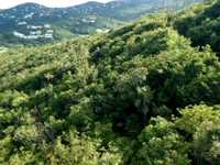 House 2883685962
