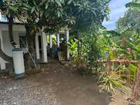 House 2678309862