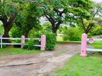 House 3001653975