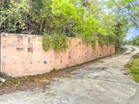 House 2686338525
