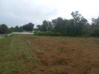 House 2685929942