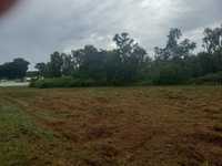 House 2685929949